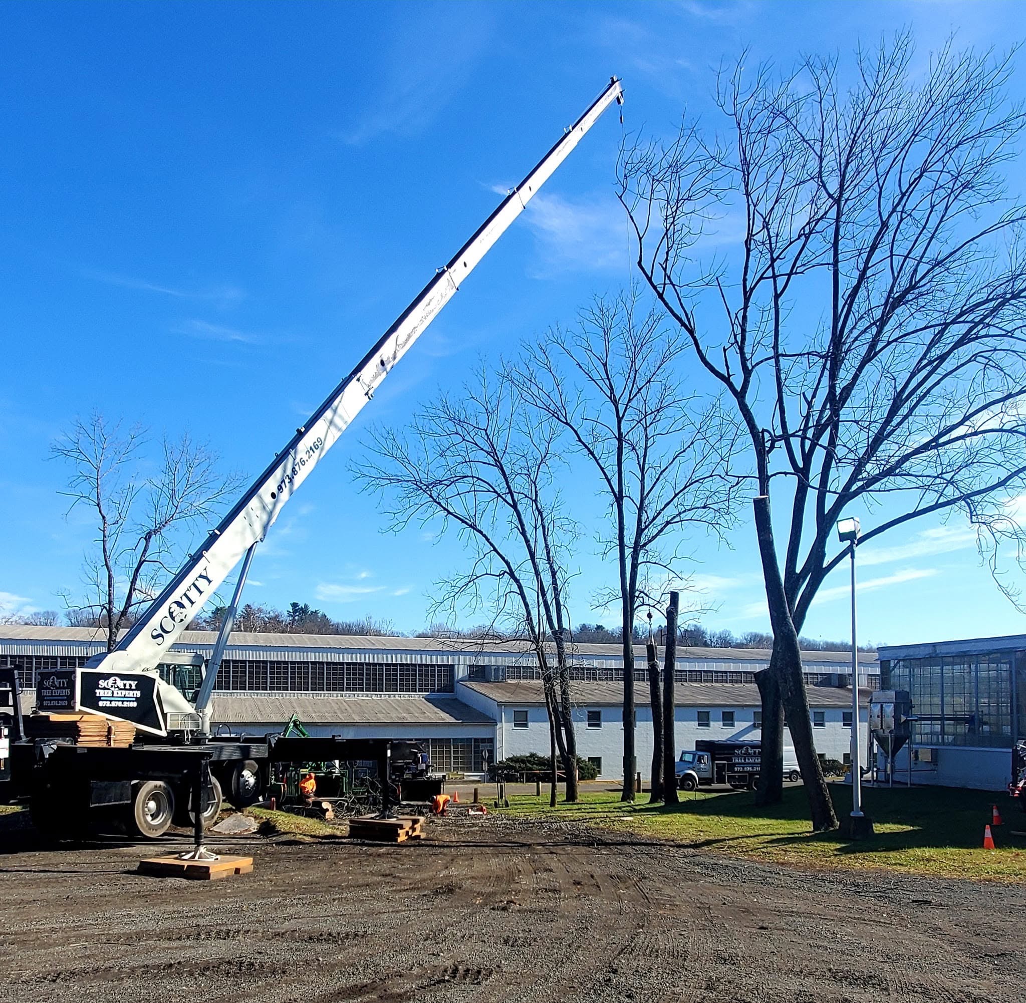 Large crane at a commercial site
