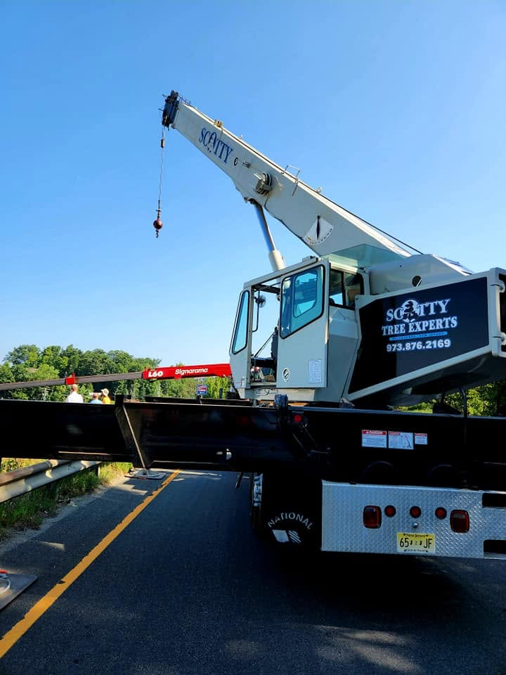 Close view of a Scotty Tree Experts crane