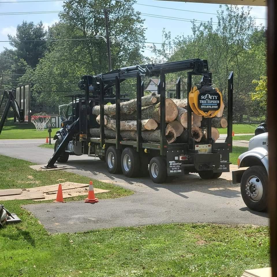 Scotty Tree Experts log-handling equipment used on a real job