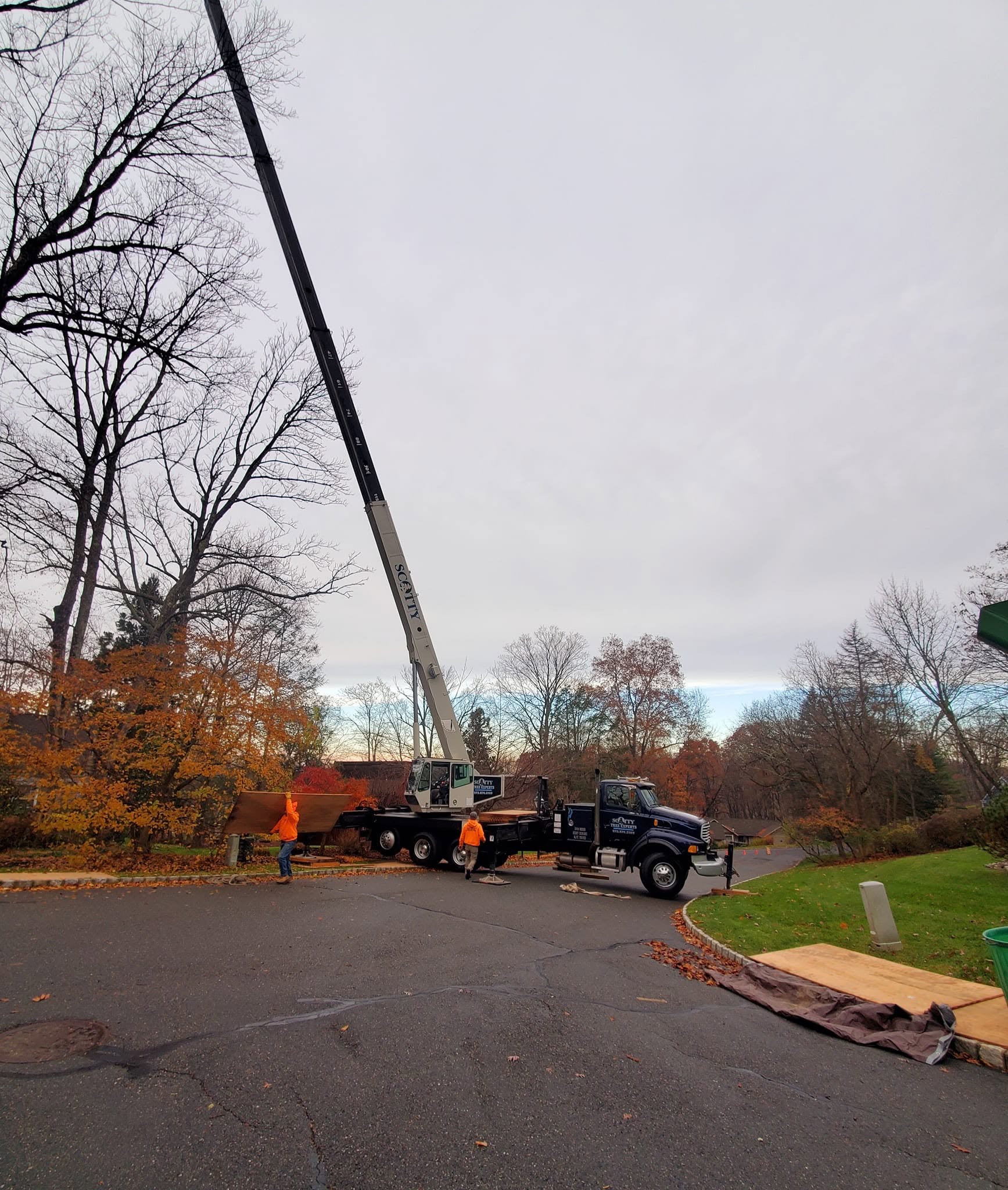 Scotty Tree Experts large crane working on a street-side tree project