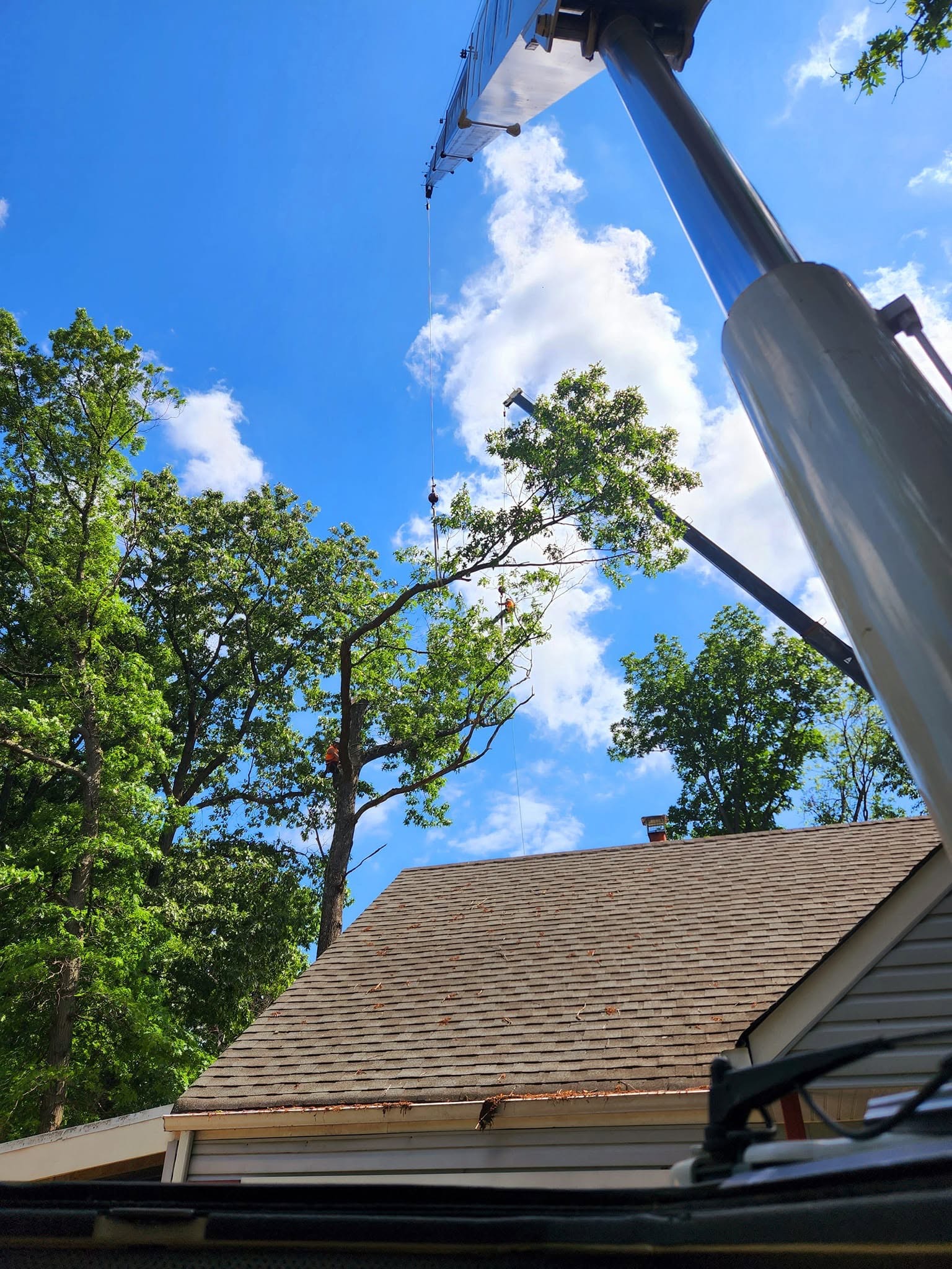 Overhead view of crane and tree work