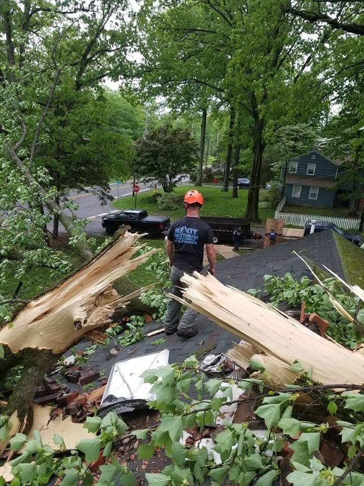 Tree crew assessing major storm-related tree damage to a roof