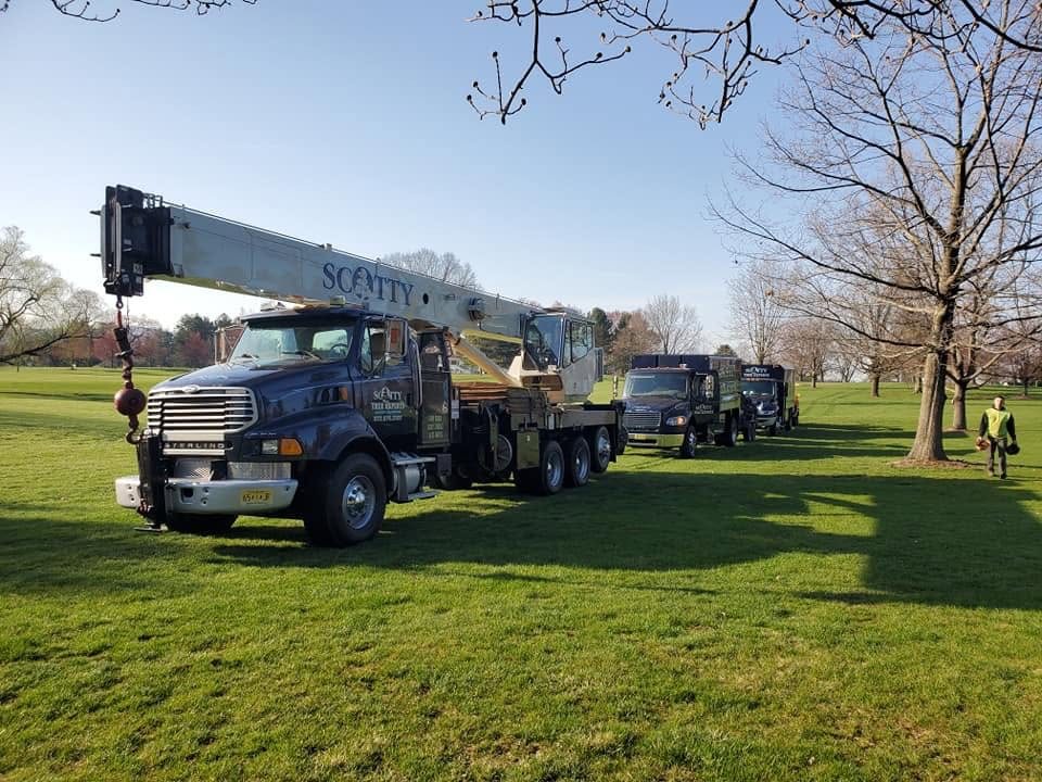 Scotty Tree Experts crane with company trucks at an outdoor job site