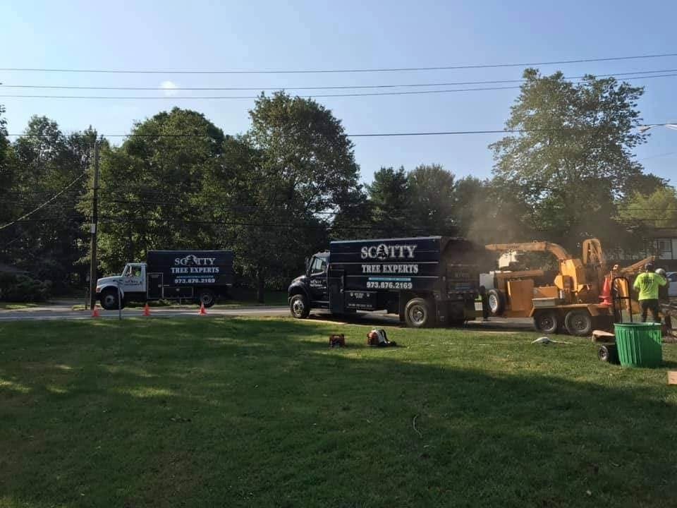 Scotty Tree Experts trucks and chipping equipment on a tree job