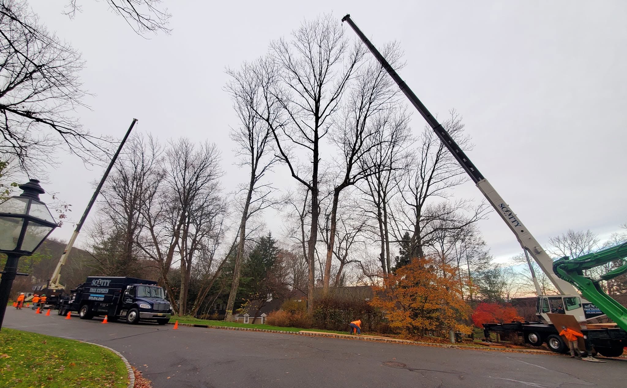 Two cranes working in the same project area