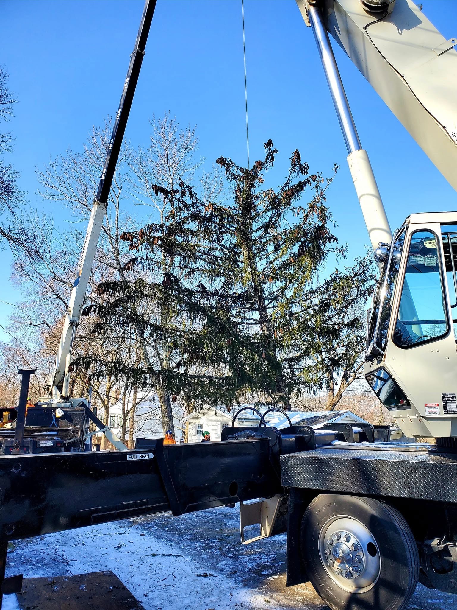 Winter crane work near an evergreen