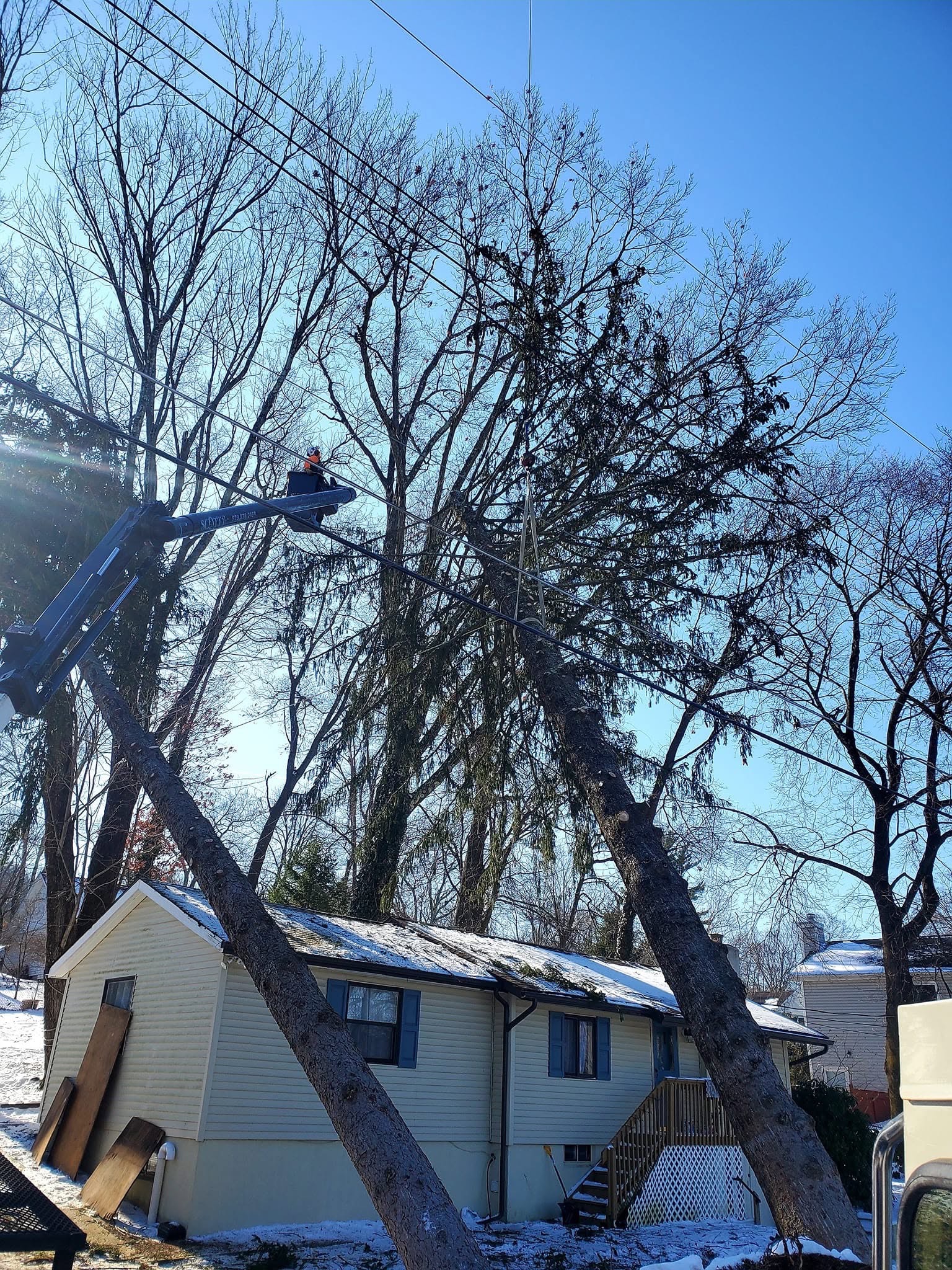 Winter tree removal over a house
